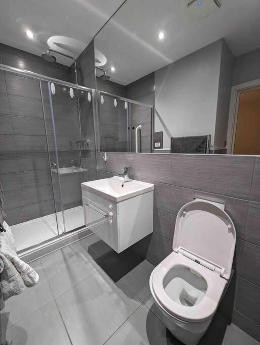 Elegant Flat *
